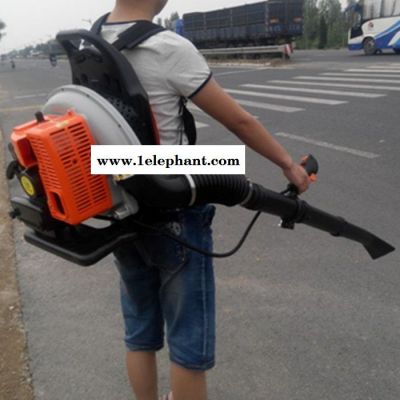 手提式汽油吹吸机 大棚吹雪机 小型灭火器图4