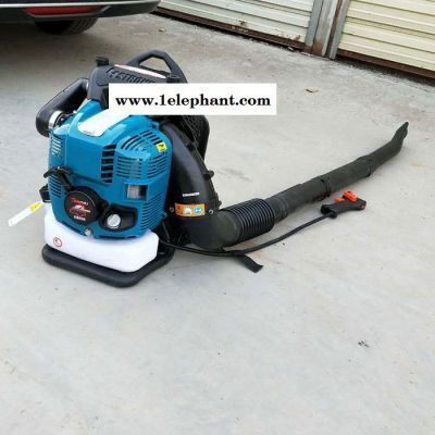 手提式汽油吹吸机 大棚吹雪机 小型灭火器图2