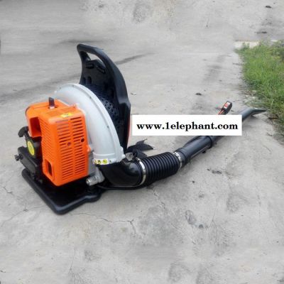 手提式汽油吹吸机 大棚吹雪机 小型灭火器图5