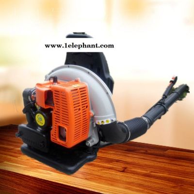 手提式汽油吹吸机 大棚吹雪机 小型灭火器图7