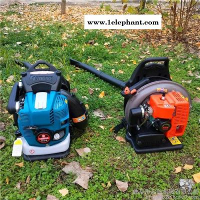 风力灭火器吹雪机 道路除尘树叶机 吹风机图5