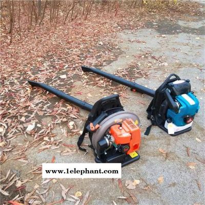 风力灭火器吹雪机 道路除尘树叶机 吹风机图3