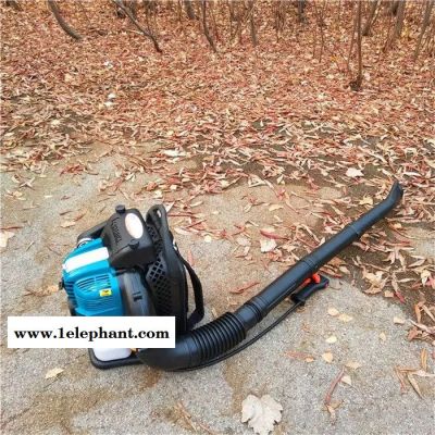 风力灭火器吹雪机 道路除尘树叶机 吹风机图2