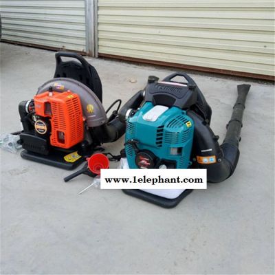 风力灭火器吹雪机 道路除尘树叶机 吹风机图4