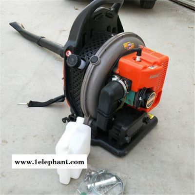 风力灭火器吹雪机 道路除尘树叶机 吹风机图8