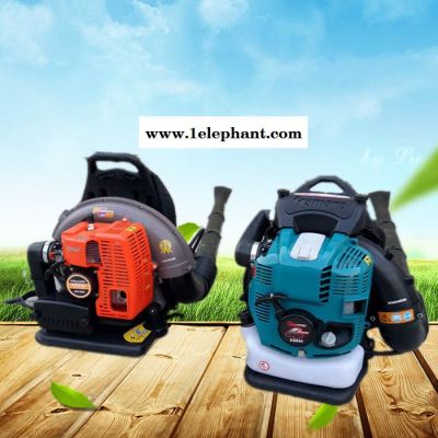 背负式风力灭火器道路吹风机吹雪机图2