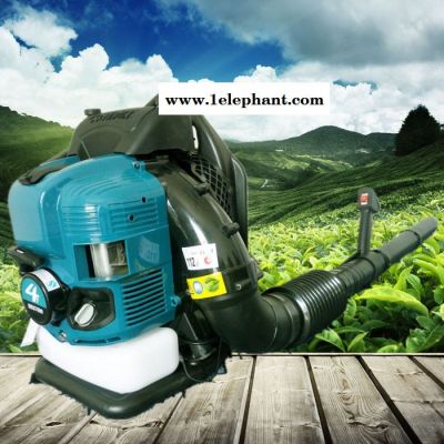 背负式风力灭火器道路吹风机吹雪机图5