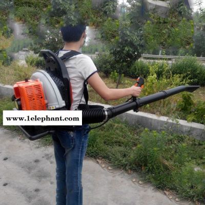 背负式风力灭火器道路吹风机吹雪机图6