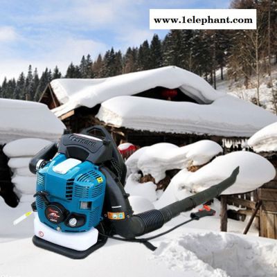 背负式风力灭火器道路吹风机吹雪机图3