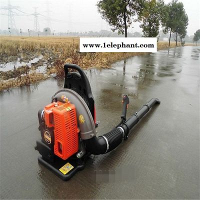 新款背负式吹风机 汽油高压园林灭火器 新款背负式吹风机图4