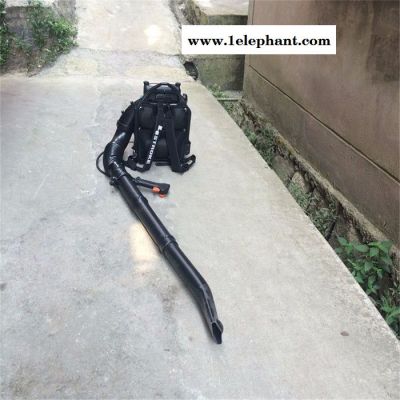 公路清扫落叶吹风机 园林灭火器报价 海阳市高压清理吹风机图7