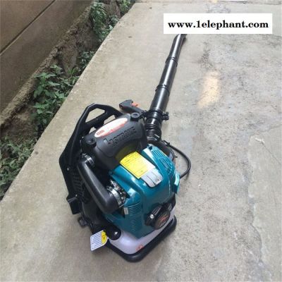 公路清扫落叶吹风机 园林灭火器报价 海阳市高压清理吹风机图2