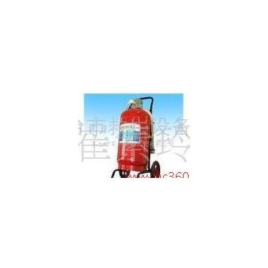 供应龙雹牌MFZ型干粉灭火器 手持式干粉灭火器 CCS船用干粉灭火器 二氧化碳灭火器