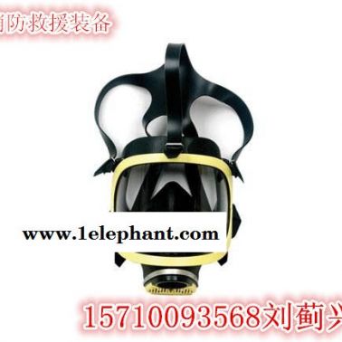 【全面罩防毒面具规格】【全面罩防毒面具厂家】【全面罩防毒面具图片】【全面罩防毒面具参数】