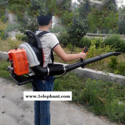 风力灭火机 灭火器启航牌背负式吹雪机图3