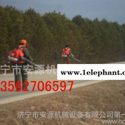 54型吹风机 大棚吹雪机 森林灭火器 马路除尘机器安源13562706597图2