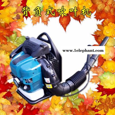 佳鑫牌汽油灭火器吹雪机 便携式风力灭火机 森林灭火器背负式路面吹风机图4