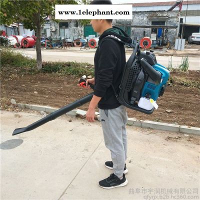 宇润 消防灭火器 马路积雪吹雪机 森林灭火器 **图2