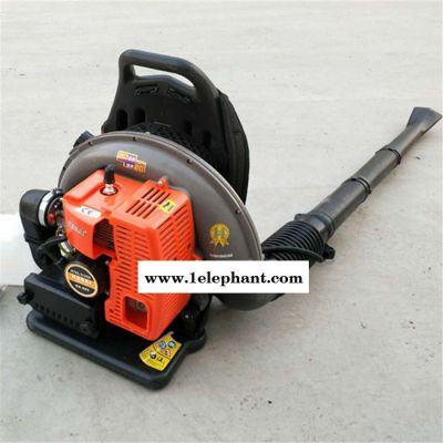 白山市大棚吹雪机 汽油两冲程背负式吹雪机 4冲程风力灭火器价格图2