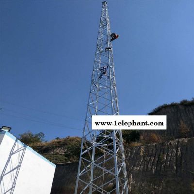 双鸭山防雷避雷针加工定制 鑫华鑫 防雷塔加工定制图4