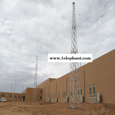 双鸭山防雷避雷针加工定制 鑫华鑫 防雷塔加工定制图7