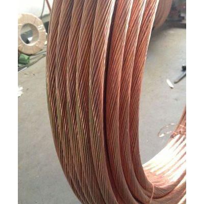 铜包钢绞线---防雷专用产品 防雷器图3