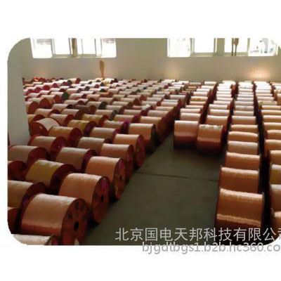 铜包钢绞线---防雷专用产品 防雷器图2