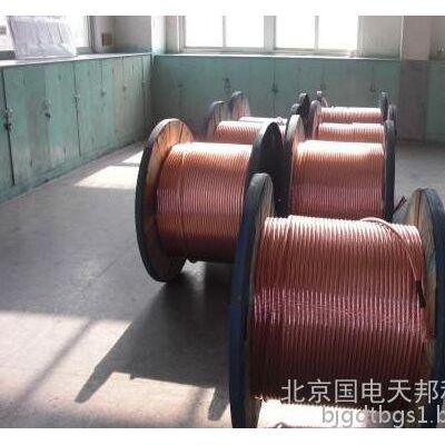 铜包钢绞线---防雷专用产品 防雷器图7