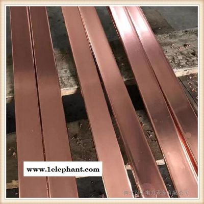 巴丁现货批发 防雷厂家 防雷铜扁钢 防雷镀锡铜扁钢图4