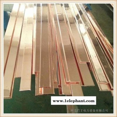 巴丁现货批发 防雷厂家 防雷铜扁钢 防雷镀锡铜扁钢图2