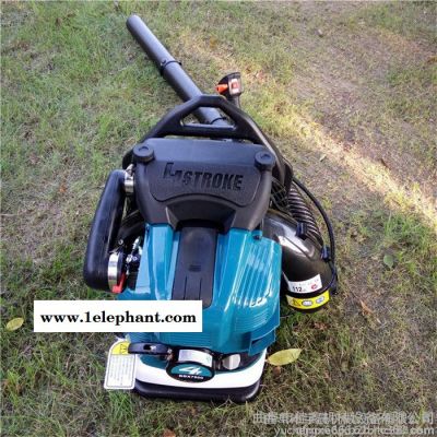 宇晨YC-CFJ苏州大棚清理吹风机 汽油吹雪机 落叶清理机 森林灭火器价格图3