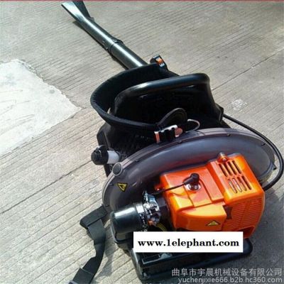 宇晨YC-CFJ苏州大棚清理吹风机 汽油吹雪机 落叶清理机 森林灭火器价格图7