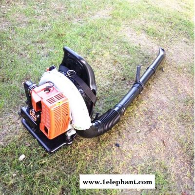 宇晨YC-CFJ苏州大棚清理吹风机 汽油吹雪机 落叶清理机 森林灭火器价格图5