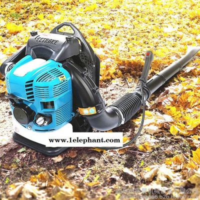 宇晨YC-CFJ苏州大棚清理吹风机 汽油吹雪机 落叶清理机 森林灭火器价格图4