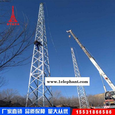 鑫华鑫防雷塔 角钢防雷塔 圆钢防雷塔 钢管防雷塔 防雷塔厂家图8