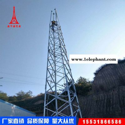 鑫华鑫防雷塔 角钢防雷塔 圆钢防雷塔 钢管防雷塔 防雷塔厂家图4