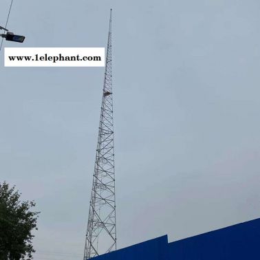 避雷线塔 避雷塔 防雷避雷塔 角钢避雷塔