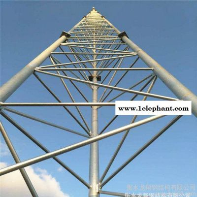 鑫华鑫避雷塔厂家 防雷塔厂家 避雷针厂家 针式避雷塔厂家 塔式避雷针厂家图3