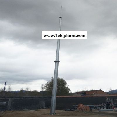 鑫华鑫避雷塔厂家 防雷塔厂家 避雷针厂家 针式避雷塔厂家 塔式避雷针厂家图4