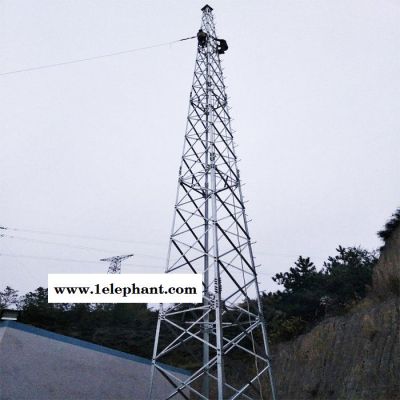 鑫华鑫避雷塔厂家 防雷塔厂家 避雷针厂家 针式避雷塔厂家 塔式避雷针厂家图2