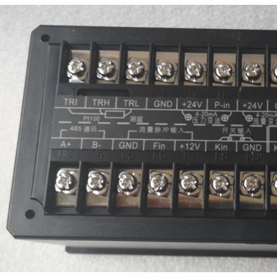 布鲁克斯BR-801型智能流量积算仪 带有液晶显示 温压补偿 具有多种通信接口，还有防雷电保护图4