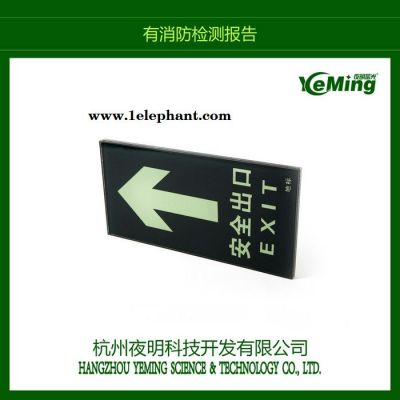 夜明蓄光 ---商场安全标识 钢化玻璃导向发光标志 疏散荧光地标图3