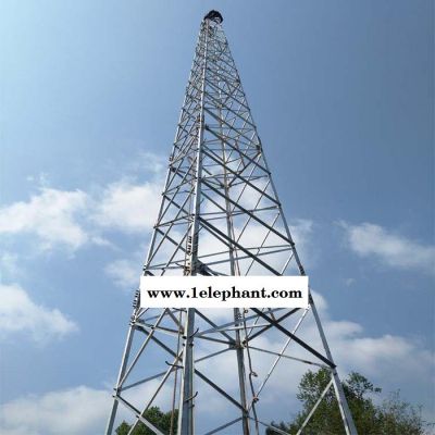 99D501-1建筑物防雷设施安装图集避雷塔 防雷塔 避雷针塔**欢迎订购图2