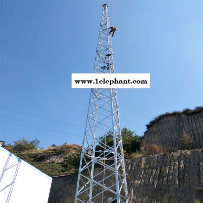 99D501-1建筑物防雷设施安装图集避雷塔 防雷塔 避雷针塔**欢迎订购图5