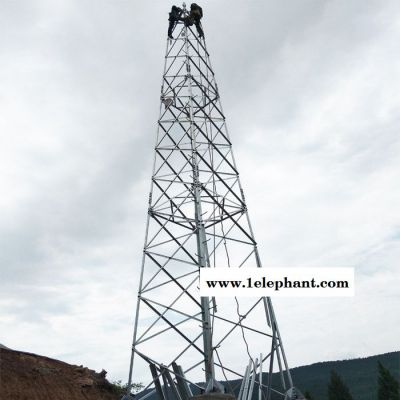 99D501-1建筑物防雷设施安装图集避雷塔 防雷塔 避雷针塔**欢迎订购图4