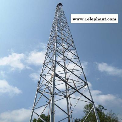 供应化工厂房避雷塔 油库避雷塔 库房避雷塔 楼顶避雷塔** 欢迎洽谈订购 防雷塔图5