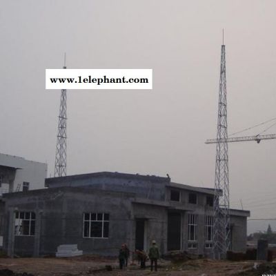 供应化工厂房避雷塔 油库避雷塔 库房避雷塔 楼顶避雷塔** 欢迎洽谈订购 防雷塔图6