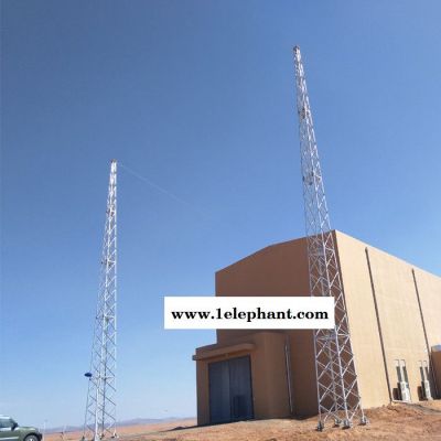 供应化工厂房避雷塔 油库避雷塔 库房避雷塔 楼顶避雷塔** 欢迎洽谈订购 防雷塔图3