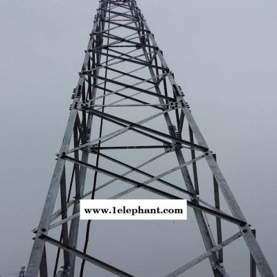 供应化工厂房避雷塔 油库避雷塔 库房避雷塔 楼顶避雷塔** 欢迎洽谈订购 防雷塔图2