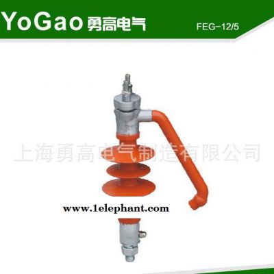 促销推荐 外间隙避雷器FEG-12/5防雷绝缘子针式防雷支柱绝缘子图2